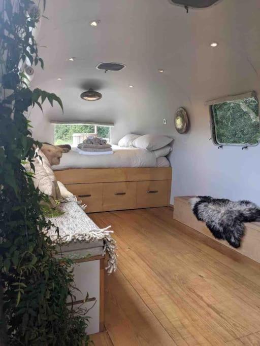 Airstream, Vintage American Caravan & Hottub Ashburton Bagian luar foto